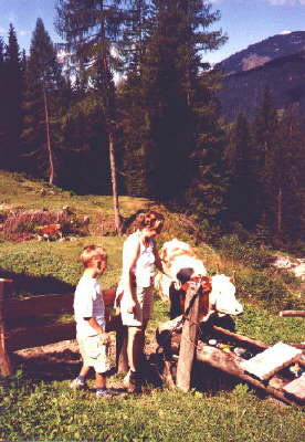 Bild2