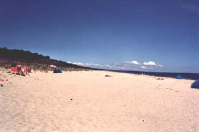 Foto7