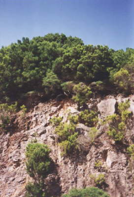 Gomera2