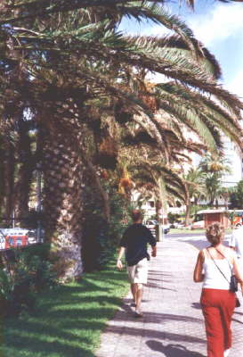 La Palma2