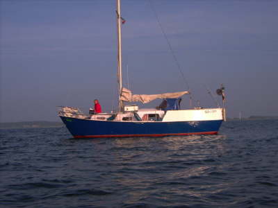aPICT0798